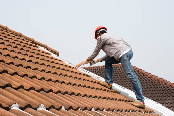 Best Commercial Roofing Services  in Ocilla, GA