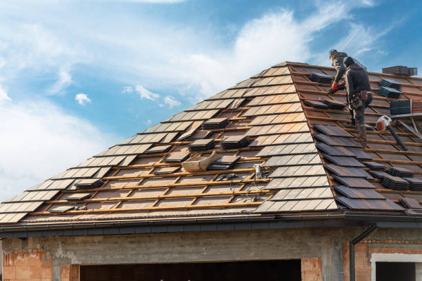 Best Solar Panel Roofing Installation  in Ocilla, GA